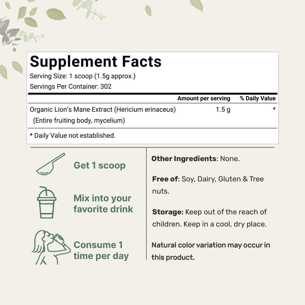 Polvo de Melena de León Orgánica - Micro Ingredients