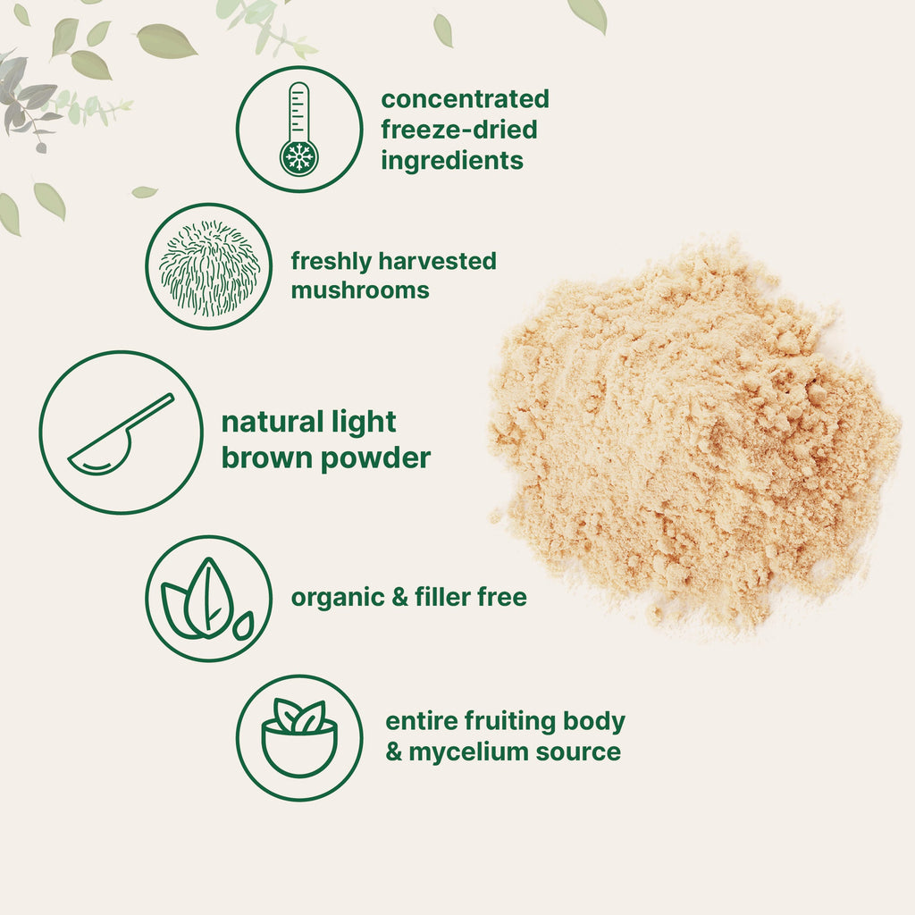 Polvo de Melena de León Orgánica - Micro Ingredients