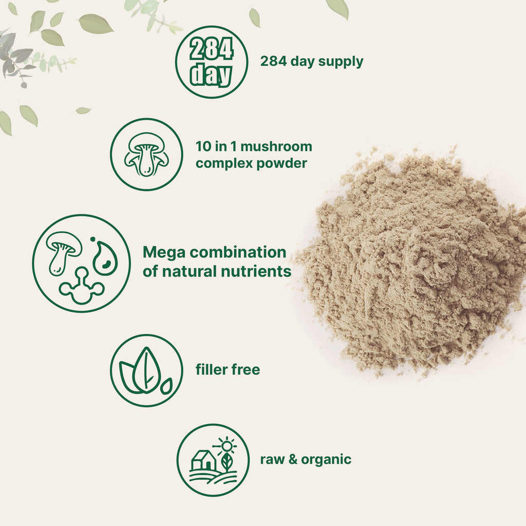 Polvo Mega 10 Hongos Orgánico - Micro Ingredients