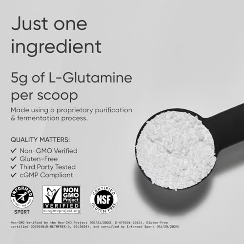 Sports Research® L-Glutamine Powder 5g, Unflavored (17.64oz)|B0CCK2T1LN
