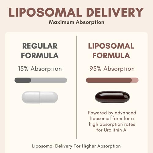 Liposomal Urolithin A 1500mg - Supplement for Muscle Strength, Stamina & Focus - High Absorption, 60 Softgels (Pack of 1)|B0FFMZXNGG