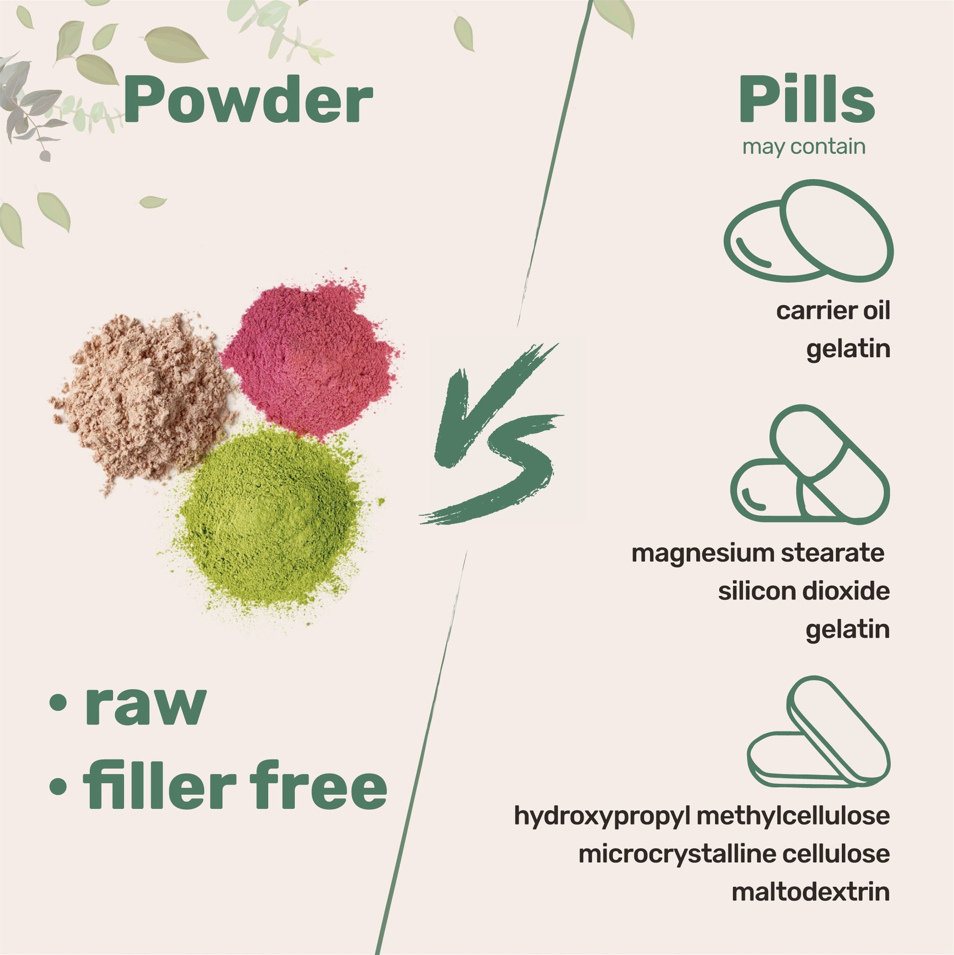 Polvo de Melena de León Orgánica - Micro Ingredients