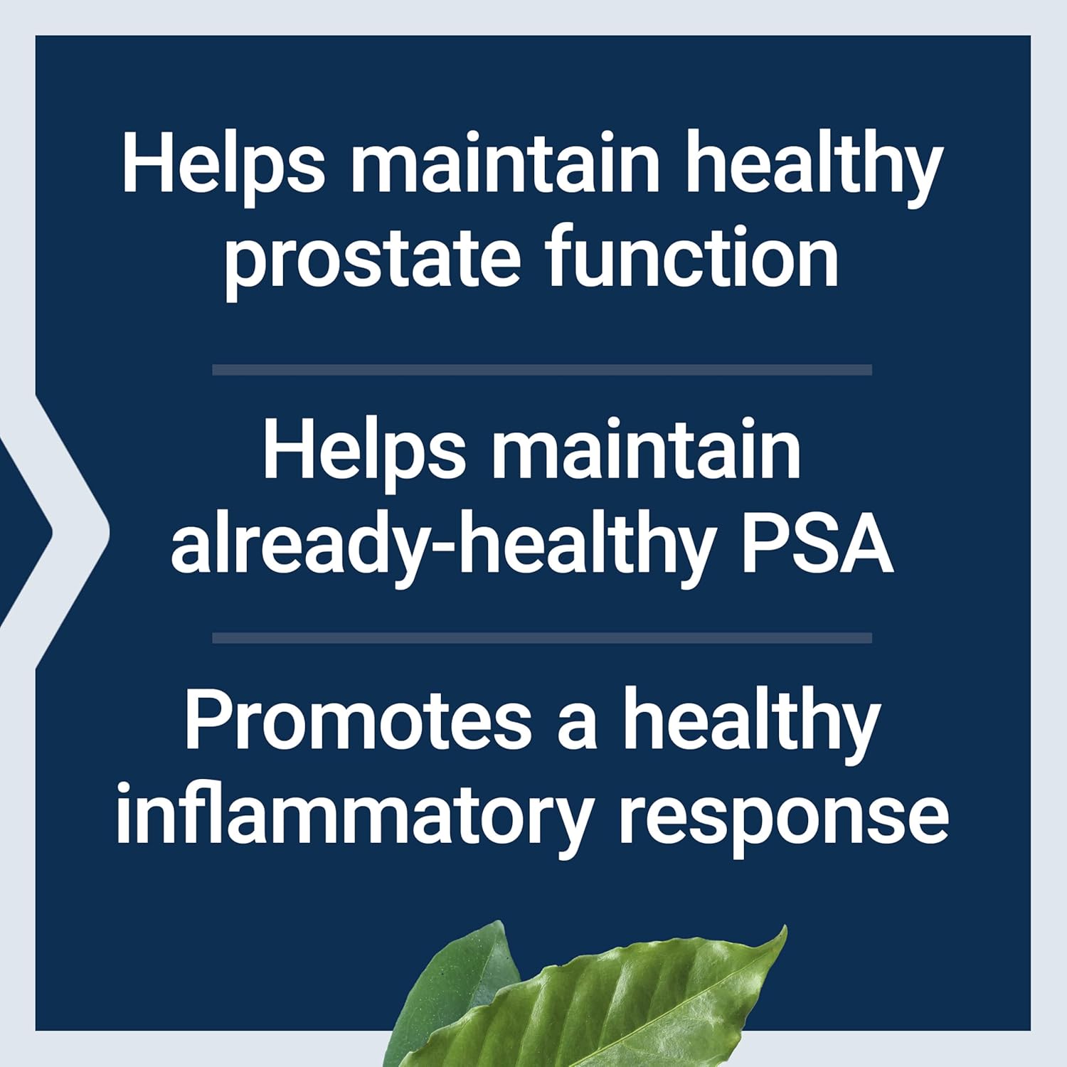 Fórmula Próstata – Life Extension