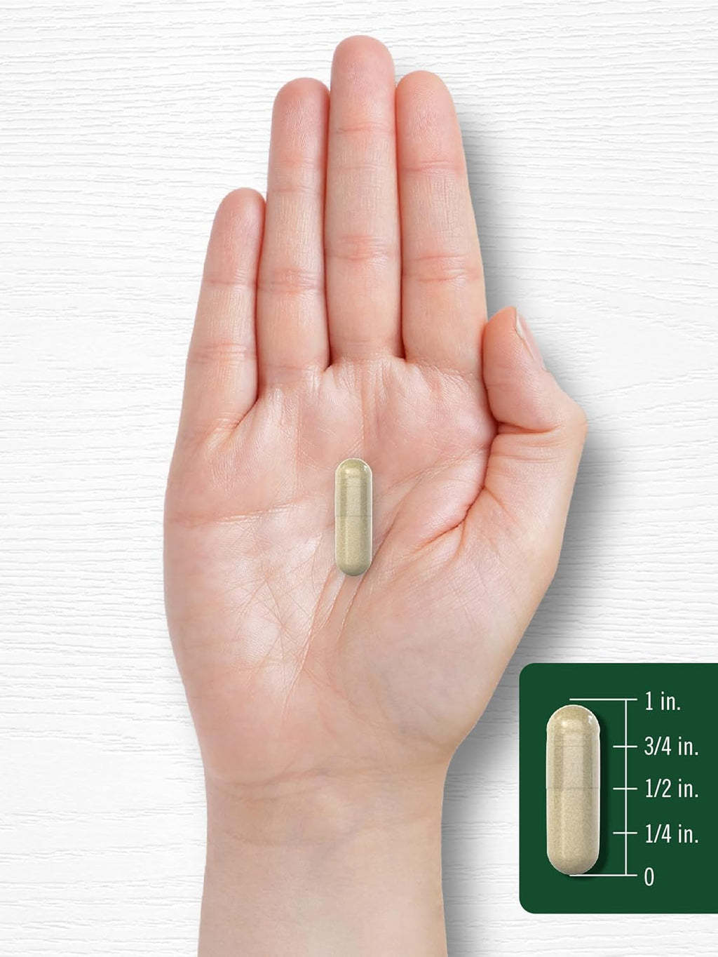 Suplemento de salvia 1600mg 180 cápsulas - Carlyle