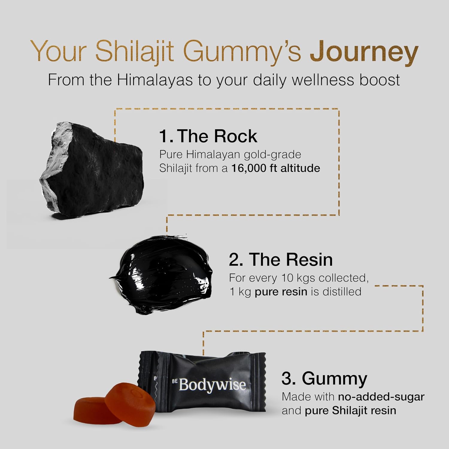 Pure Himalayan Shilajit Gummies - Be Bodywise