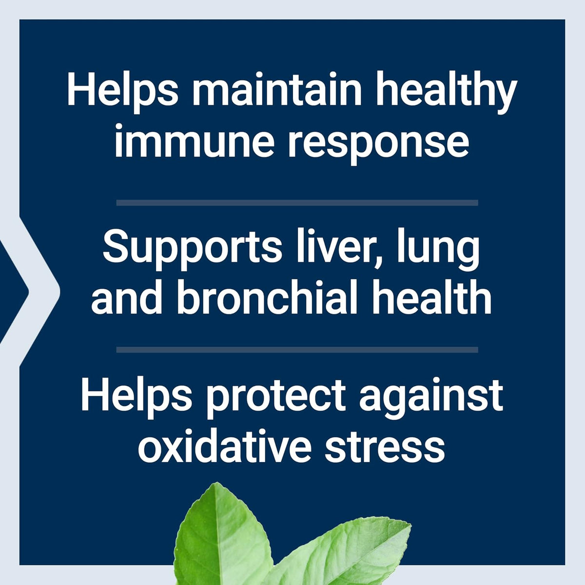 NAC 600mg – Life Extension