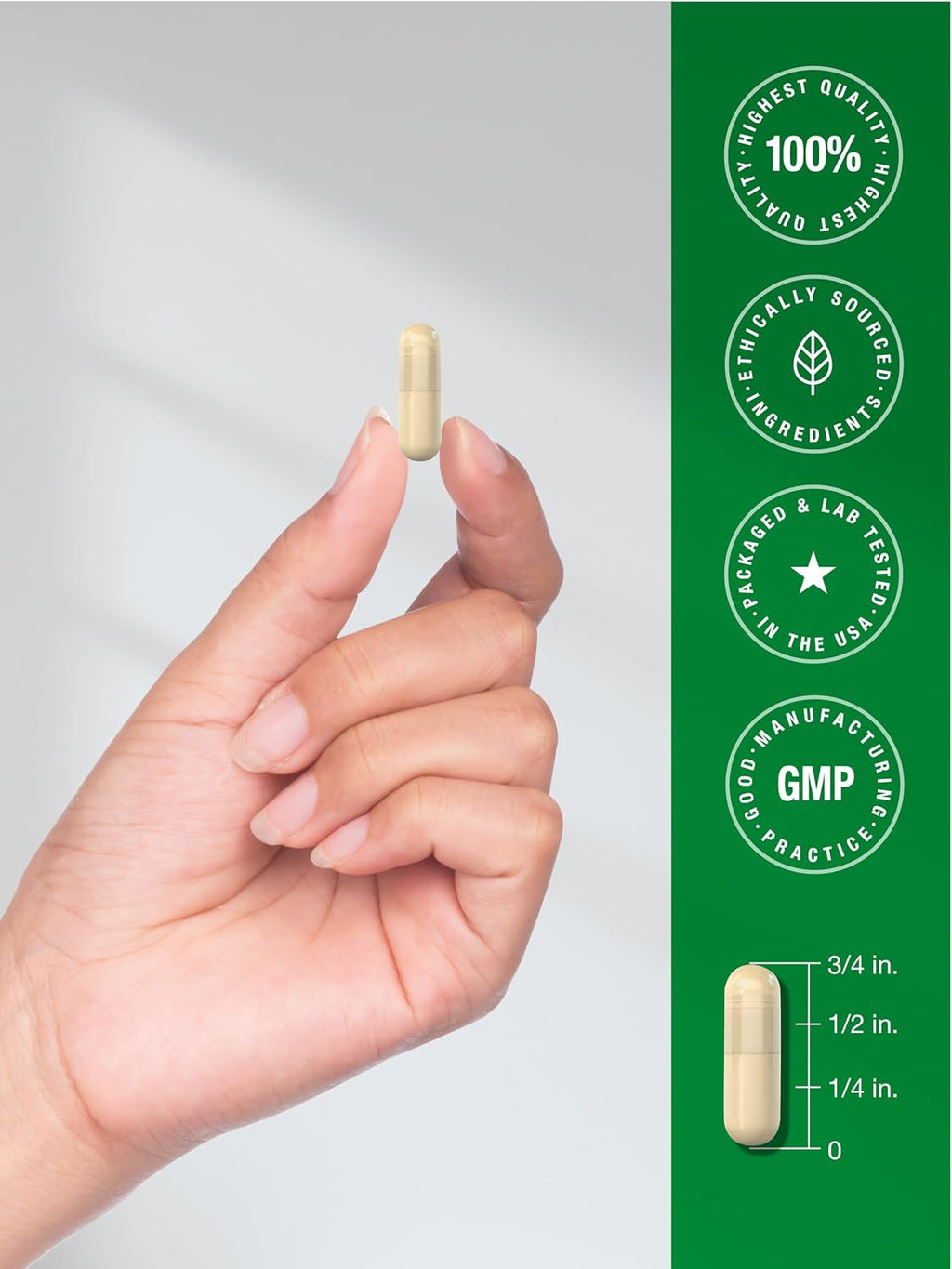 Raíz de Malvavisco 2000mg - 120 cápsulas – Horbaach