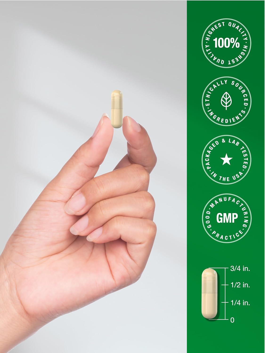 Raíz de Malvavisco 2000mg - 120 cápsulas – Horbaach