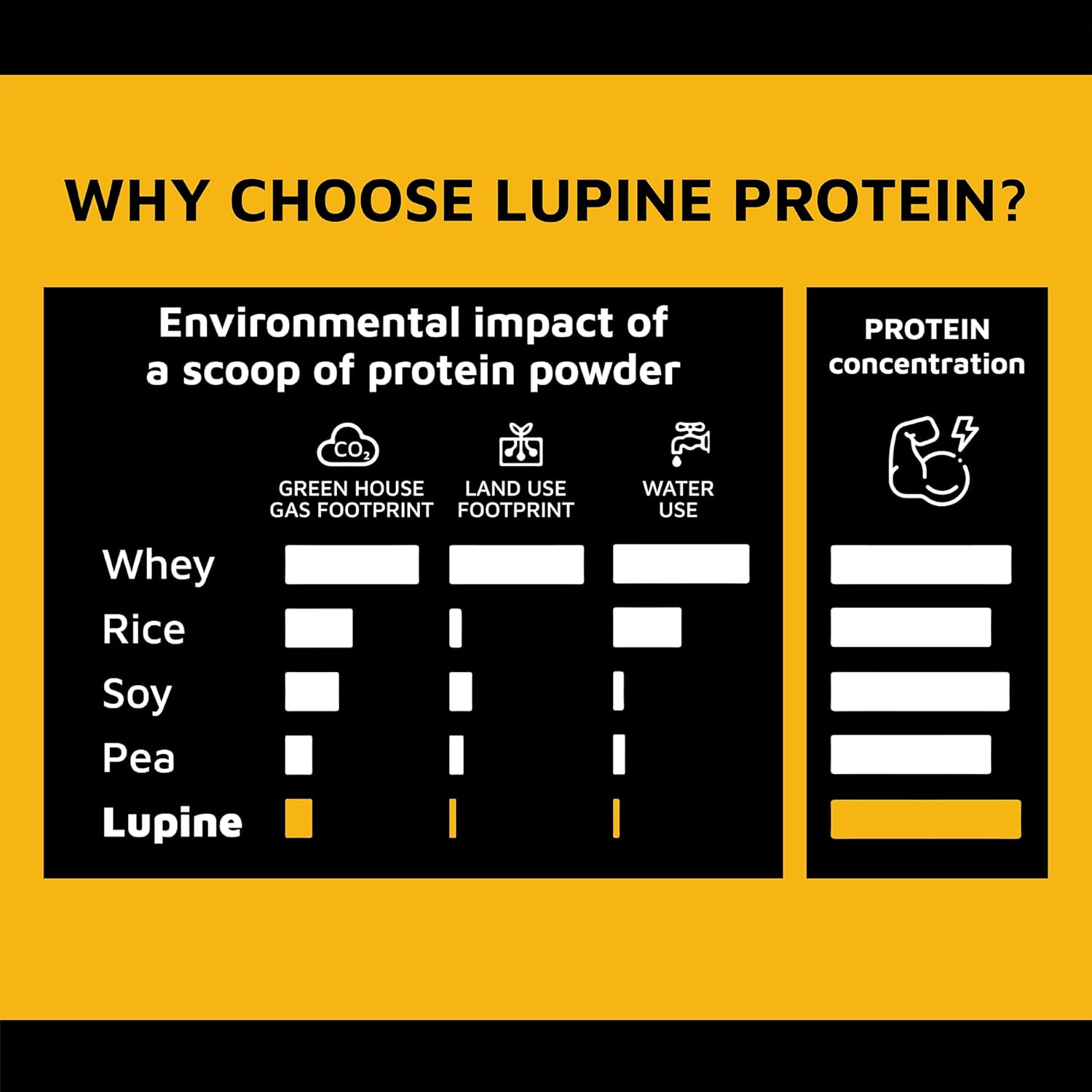 Lupine Protein - Prote & Co