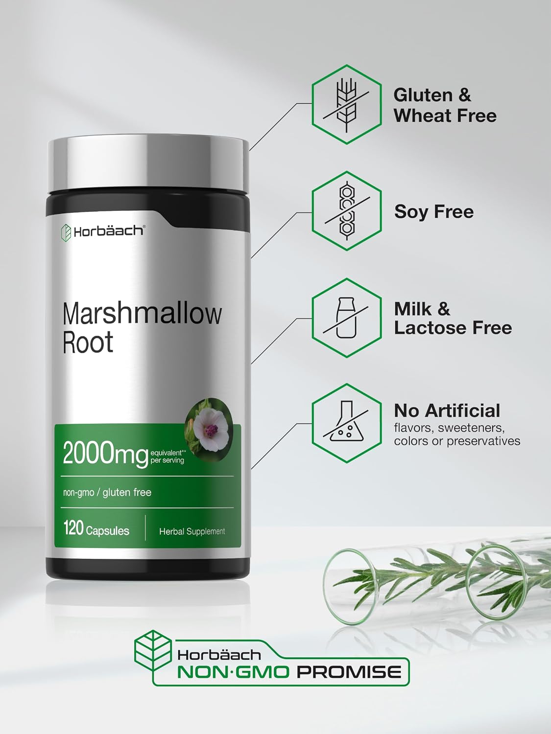 Raíz de Malvavisco 2000mg - 120 cápsulas – Horbaach