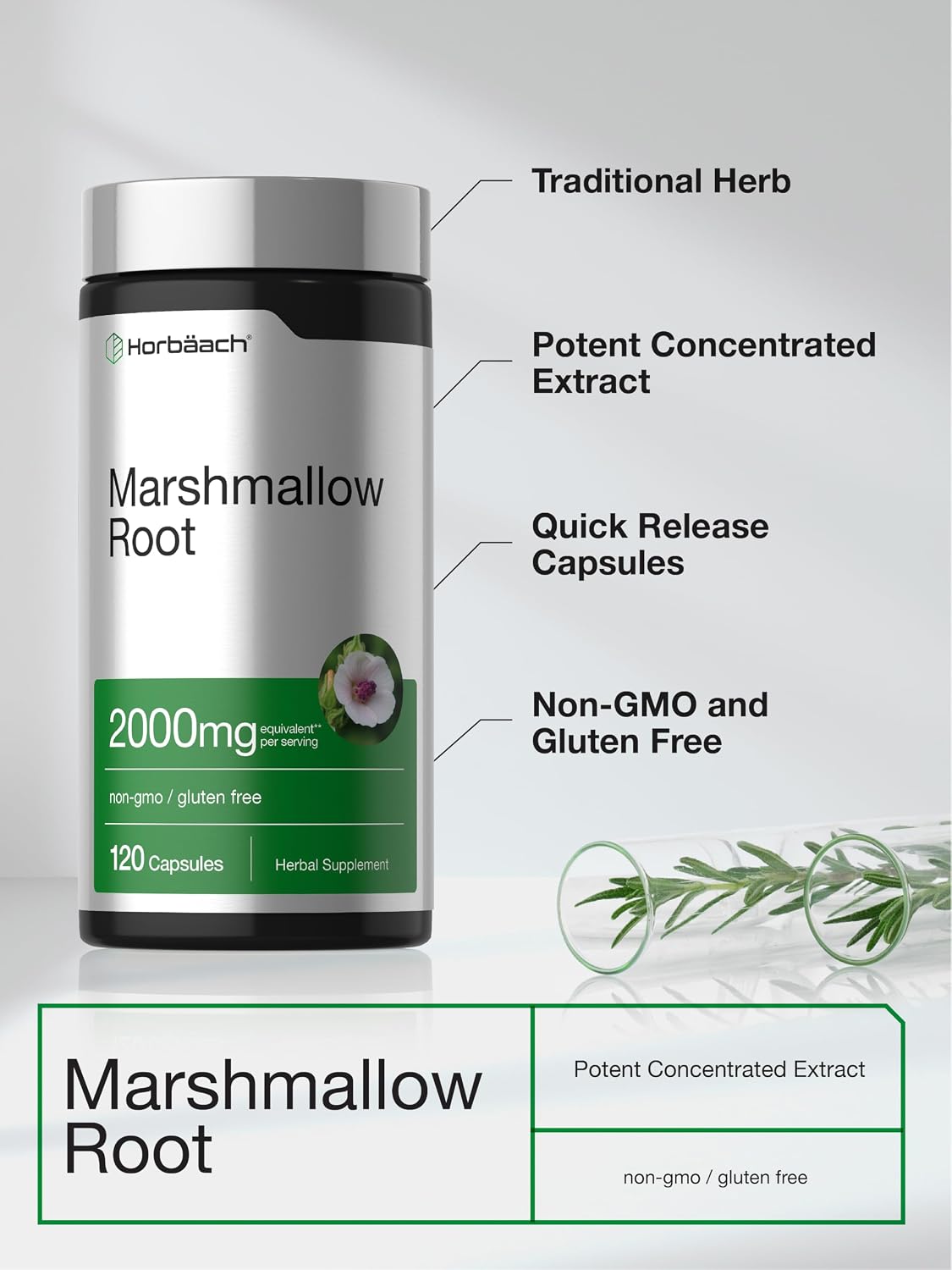 Raíz de Malvavisco 2000mg - 120 cápsulas – Horbaach