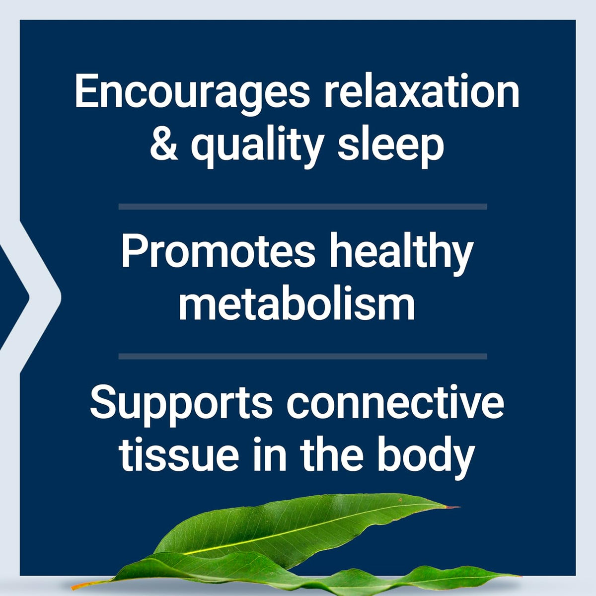 Glicina 1000mg – Life Extension