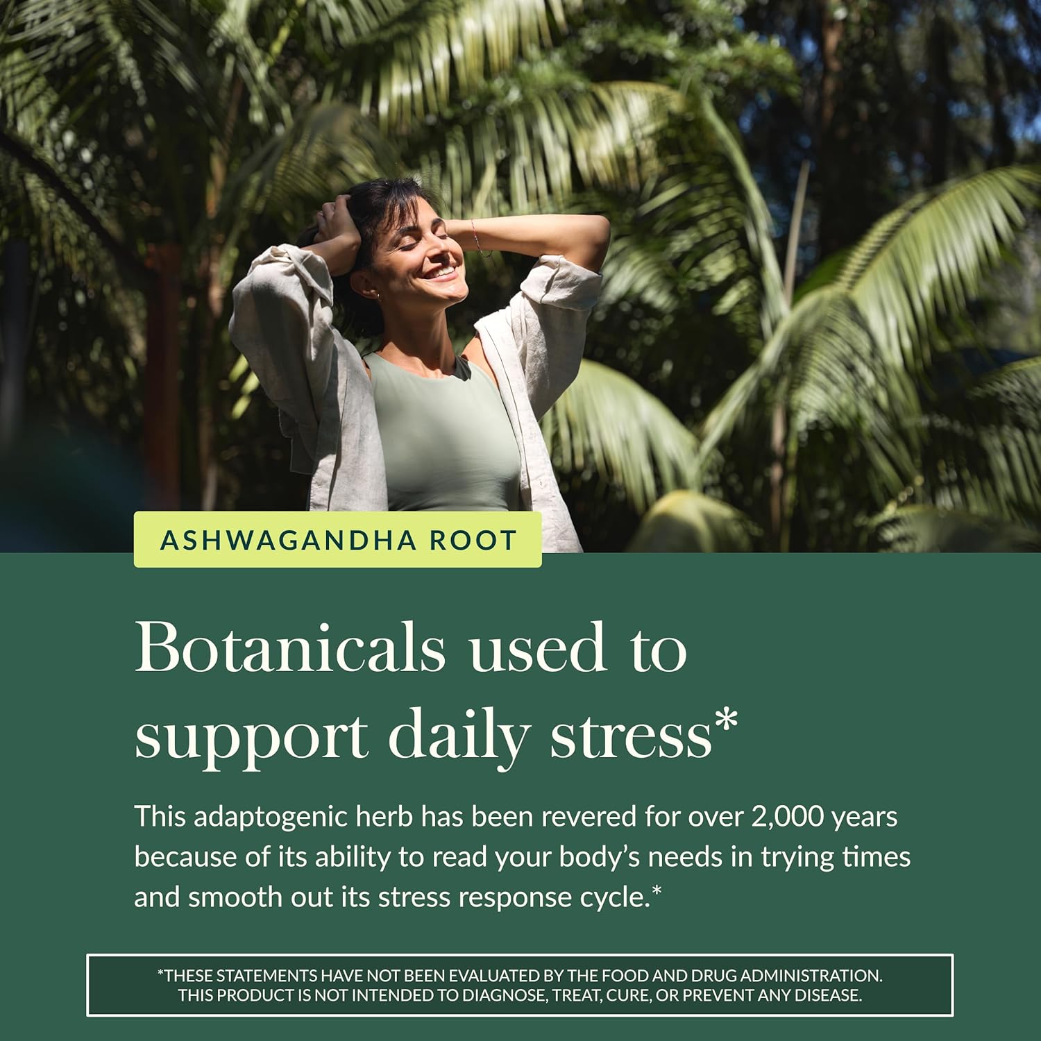 Ashwagandha para Estrés e Inmunidad – Gaia Herbs