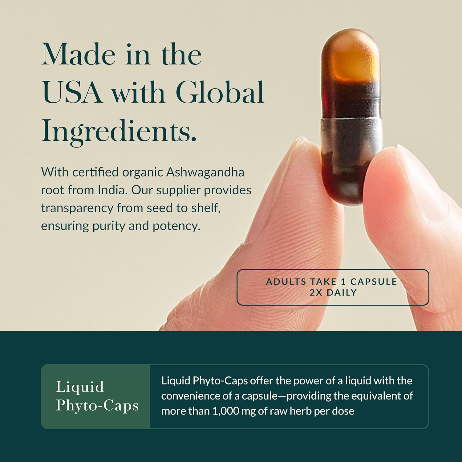 Ashwagandha para Estrés e Inmunidad – Gaia Herbs