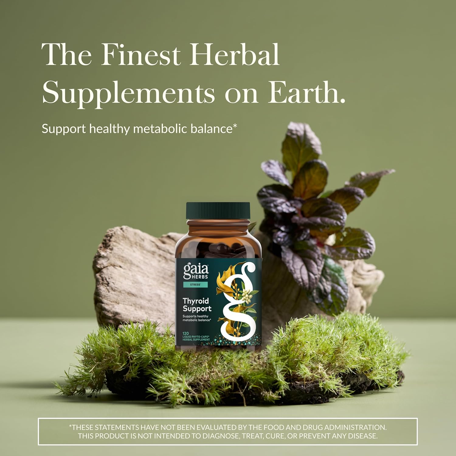 Soporte Tiroides con Ashwagandha – Gaia Herbs