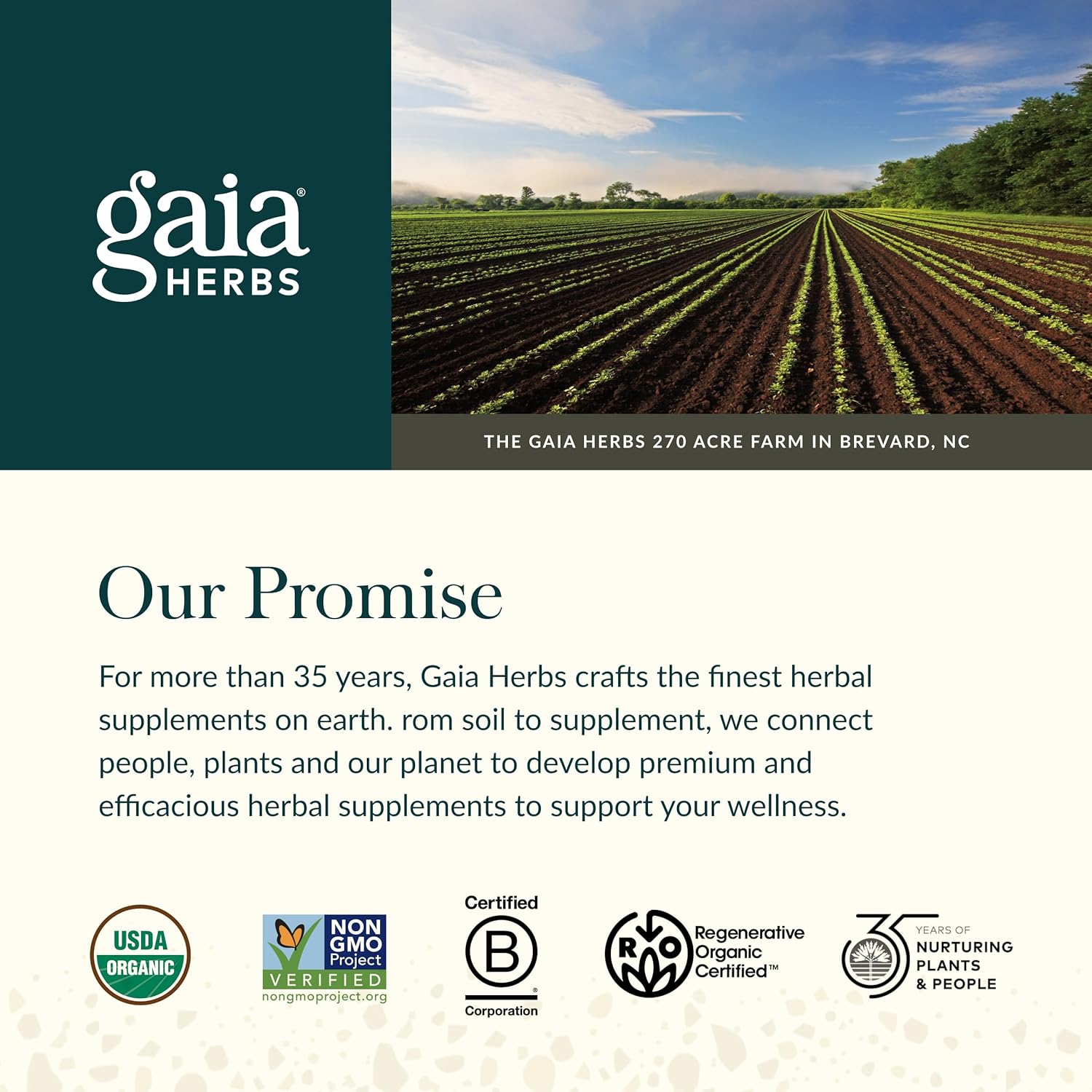 Ashwagandha en Gomitas (45u) – Gaia Herbs