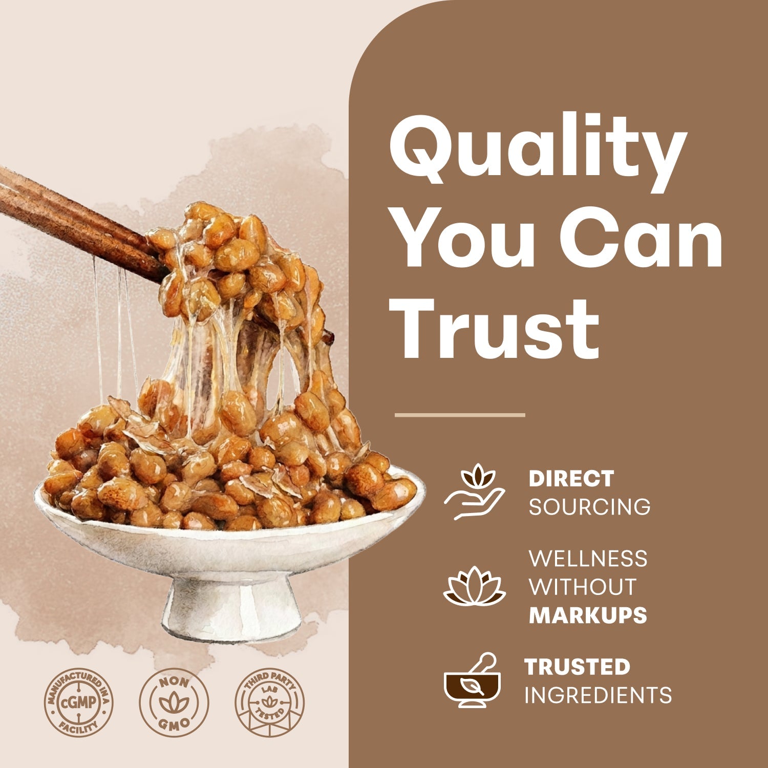 Complejo de Nattokinasa - Micro Ingredients
