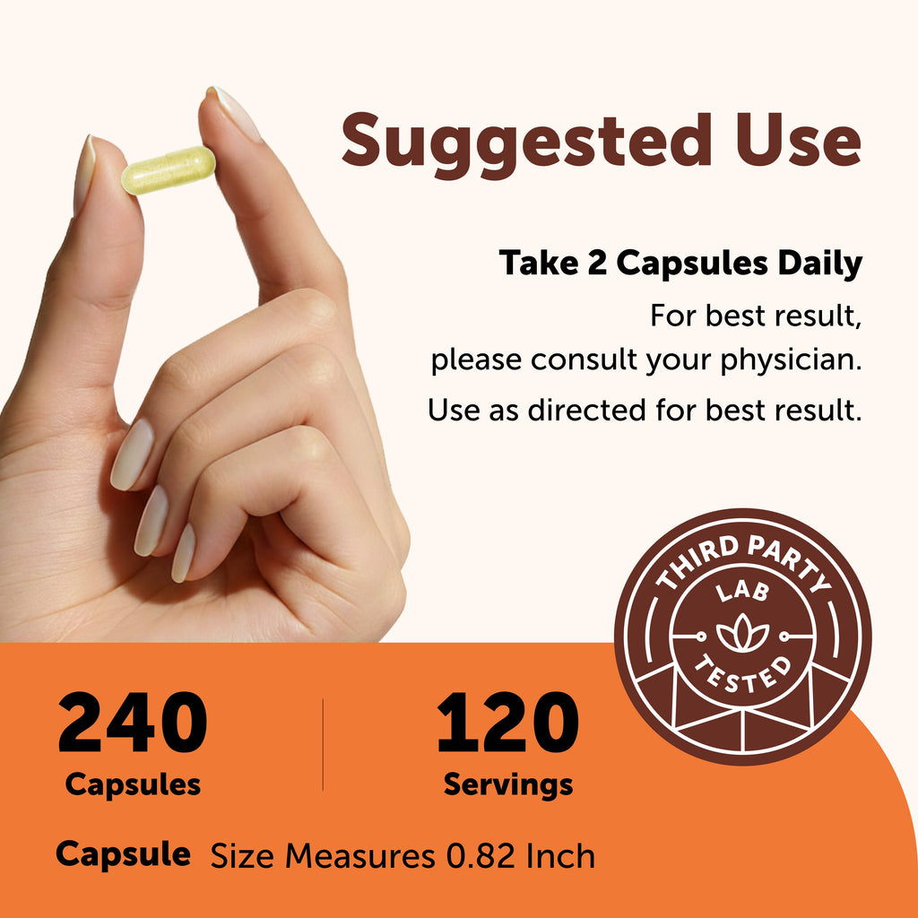 Complejo de Zinc y Quercetina 6 en 1 - Micro Ingredients