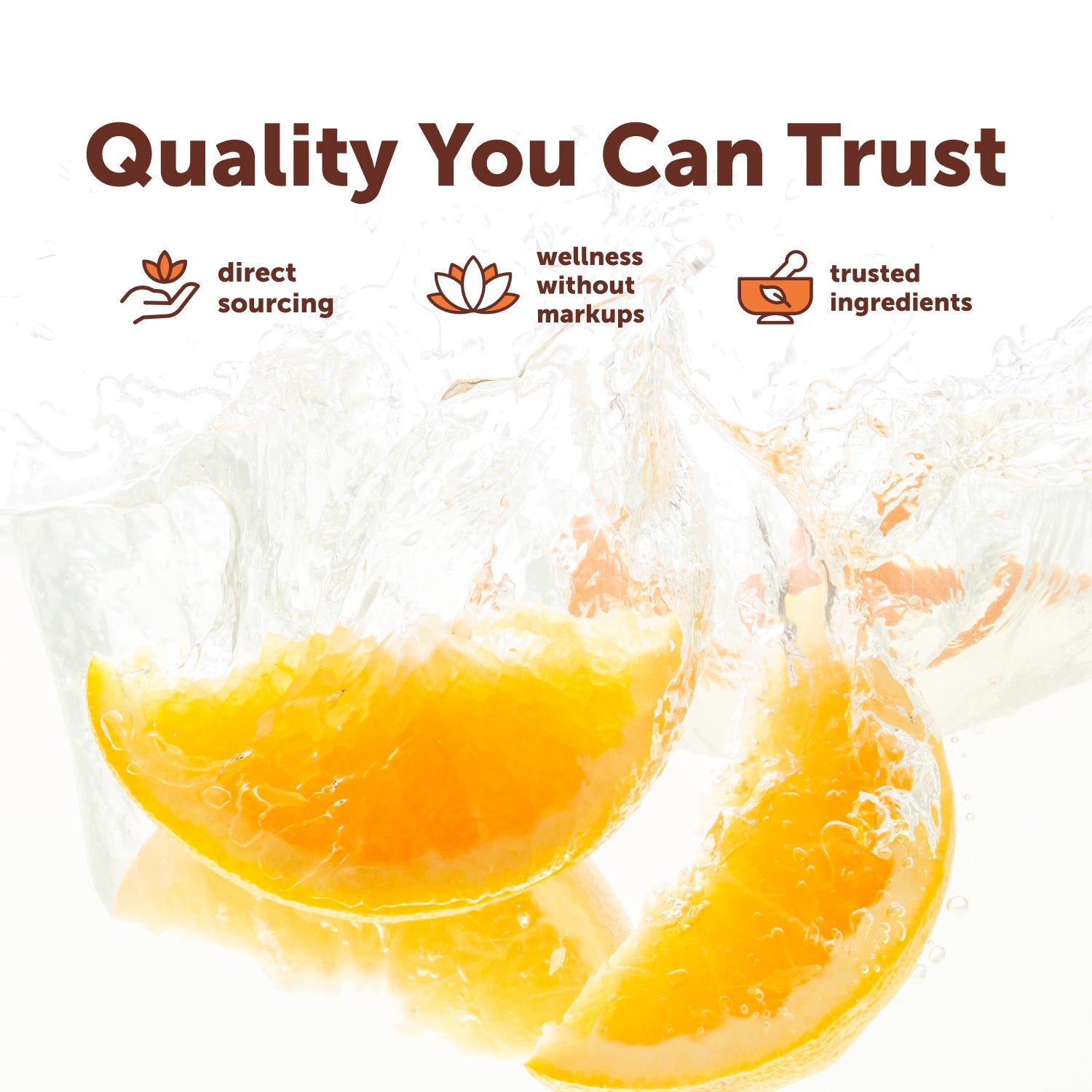 Complejo de Zinc y Quercetina 6 en 1 - Micro Ingredients