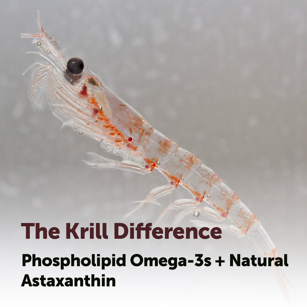 Aceite de Kril Antártico - Micro Ingredients