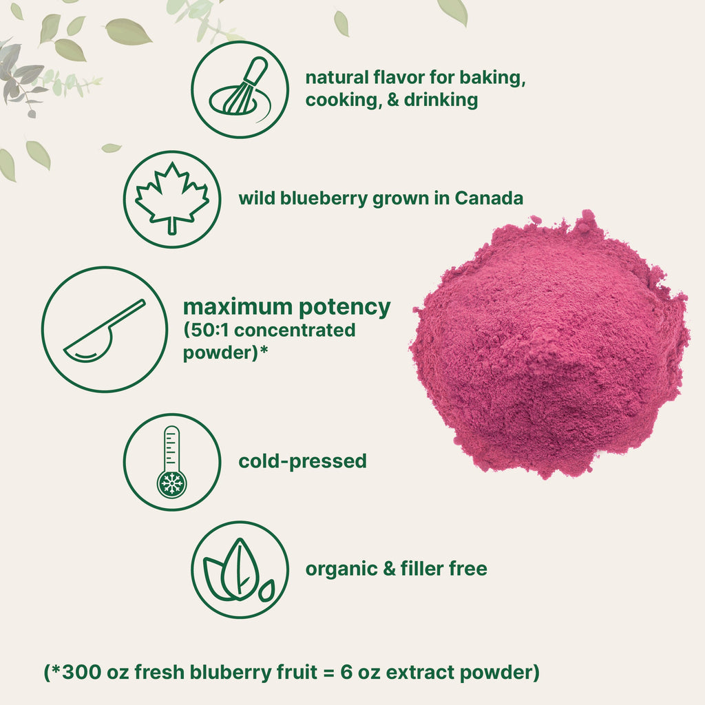 Extracto de Arándano Orgánico en Polvo - Micro Ingredients