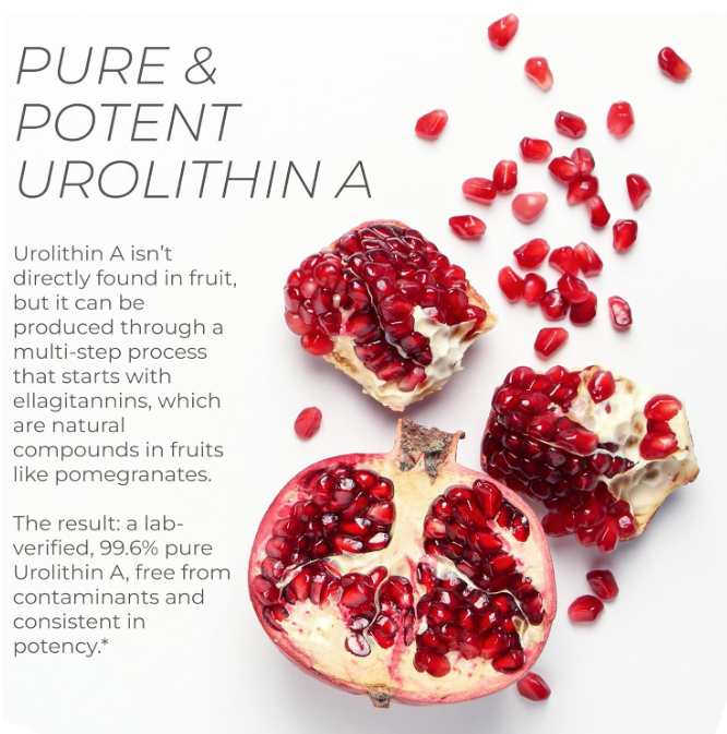 Urolitina A 700mg - Neurogan