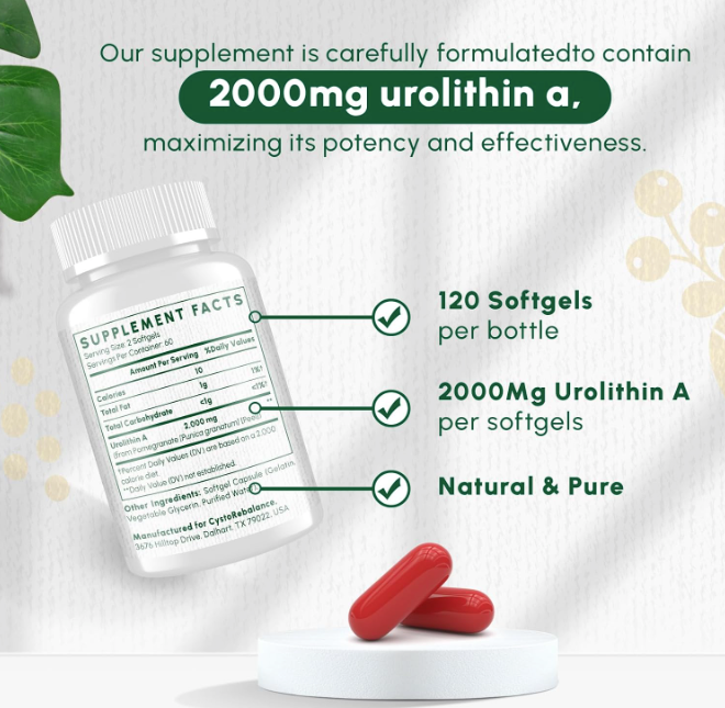 Urolitina A 2000mg - CystoRebalance