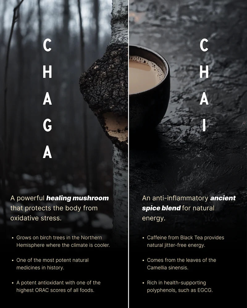 Chaga Chari - HRD // KLL