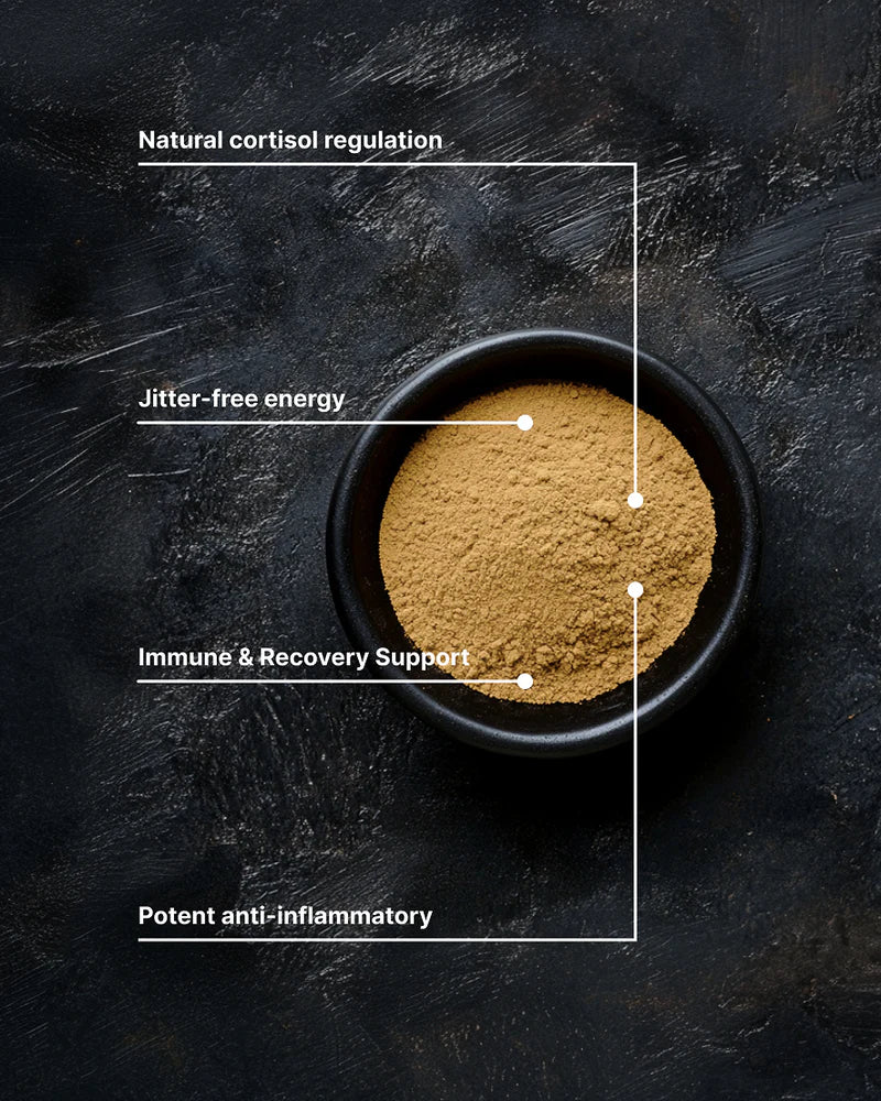 Chaga Chari - HRD // KLL