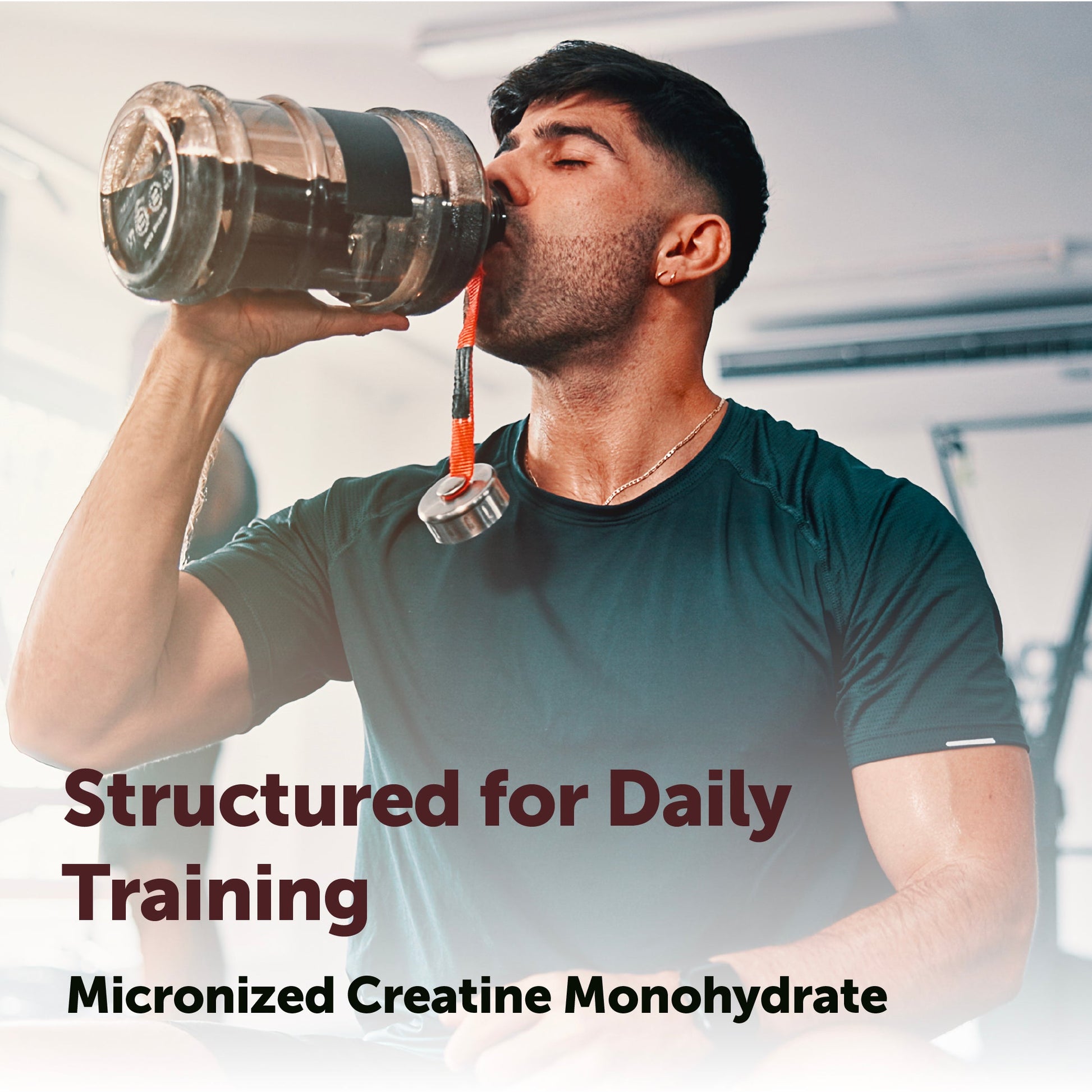 Creatina Monohidratada Micronizada - Micro Ingredients