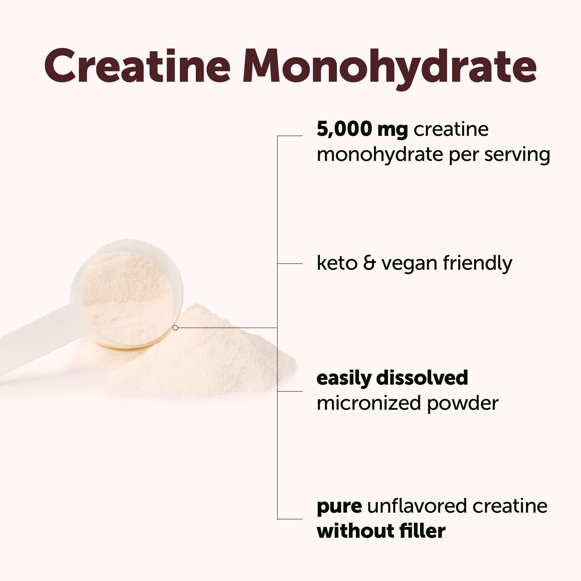 Creatina Monohidratada Micronizada - Micro Ingredients