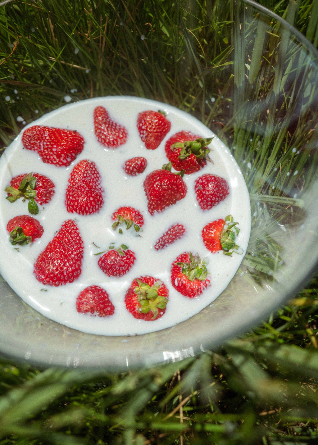 Farmer Protein Powder - Ballerina Farm