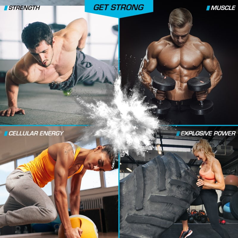 Kre Alkalyn – Creatina de pH Estable para Fuerza y Rendimiento Explosivo - EFX Sports