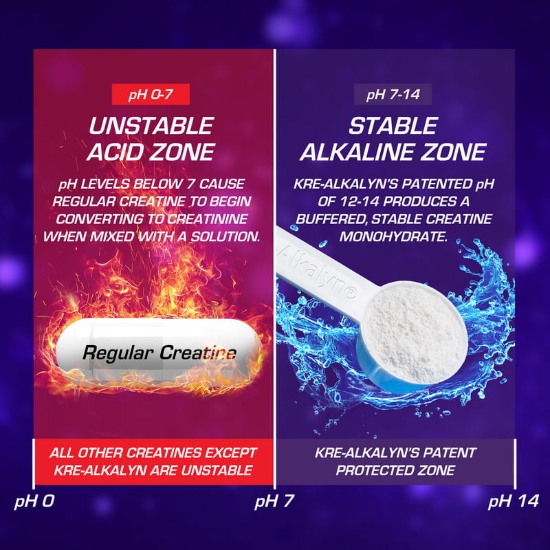 Kre Alkalyn – Creatina de pH Estable para Fuerza y Rendimiento Explosivo - EFX Sports