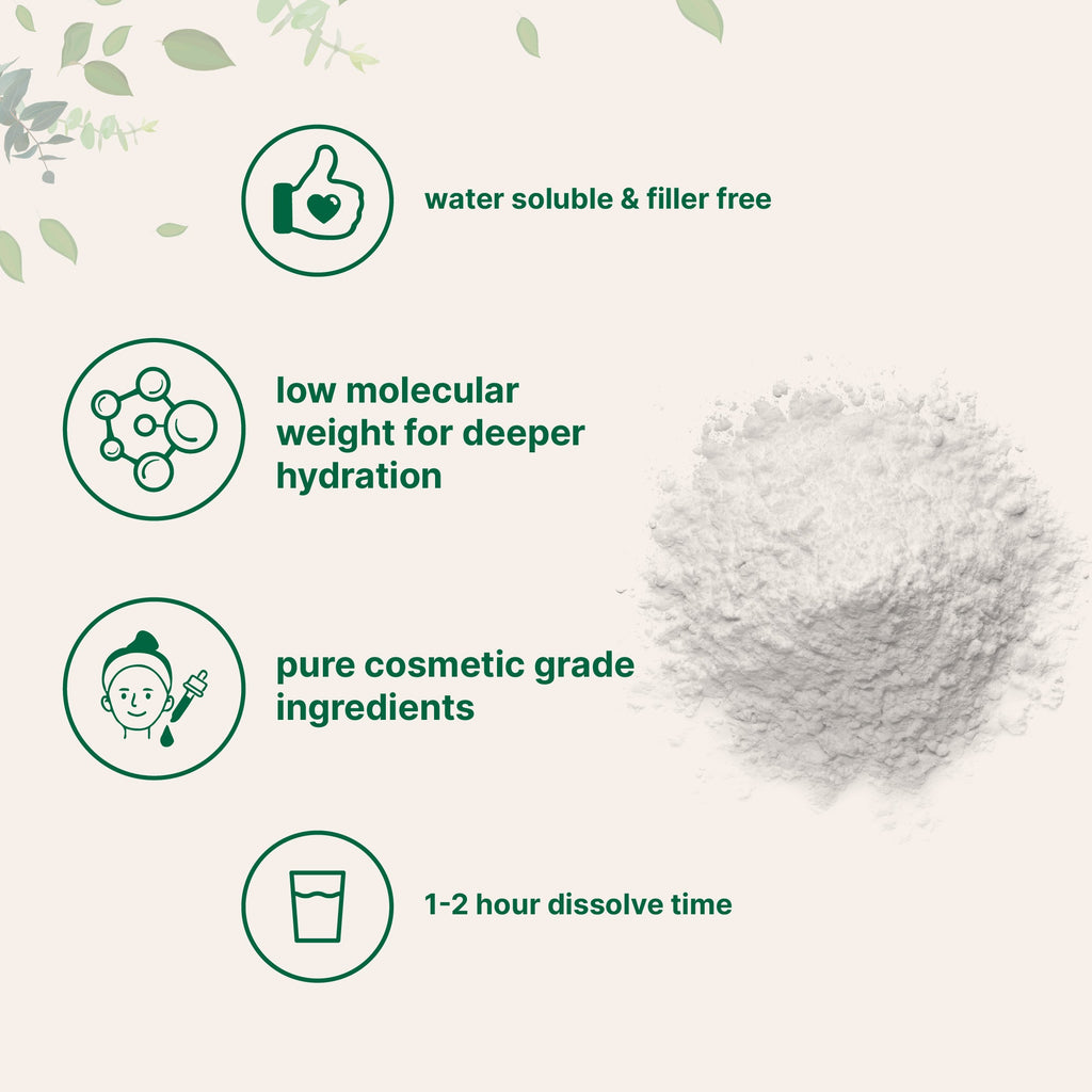 Polvo de Ácido Hialurónico - Micro Ingredients