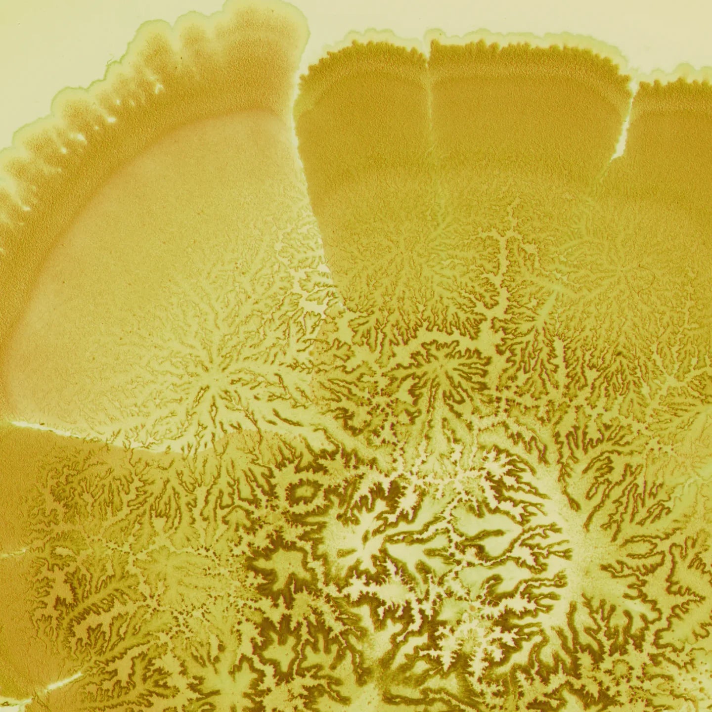 Close-up of a textured yellow surface with patterns
