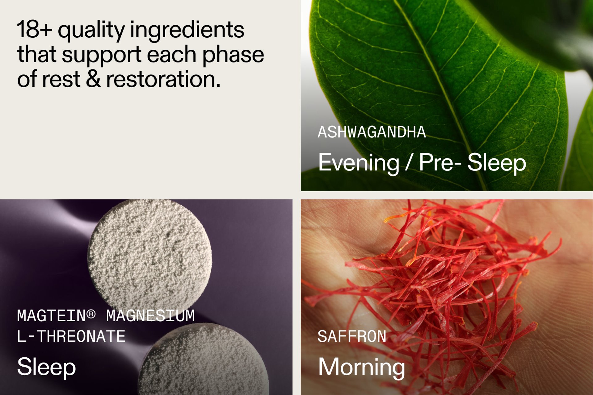 Ingredients