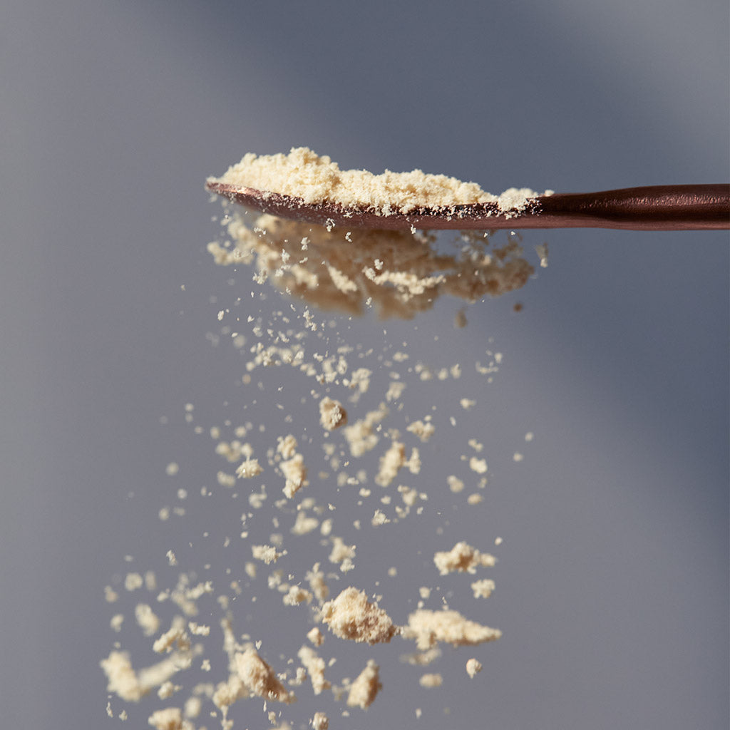 Collagen Protect - Moon Juice